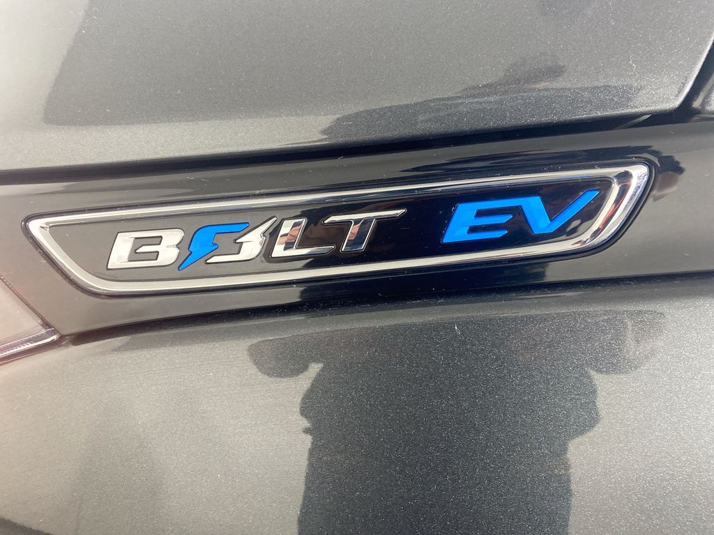 2019 Chevrolet Bolt EV LT 29