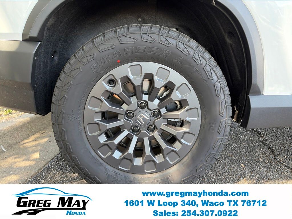 2026 Honda Passport TrailSport White at Greg May Honda