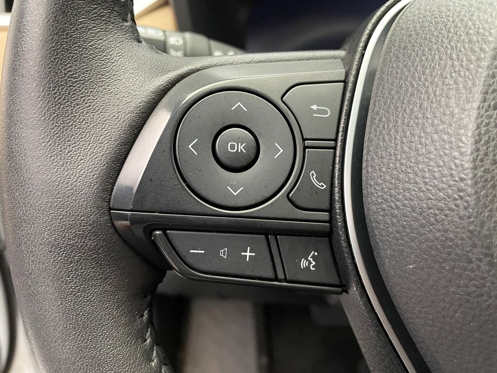 2024 Toyota RAV4 Limited 22
