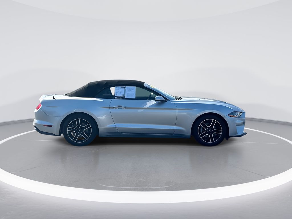 2019 Ford Mustang EcoBoost Premium - 8