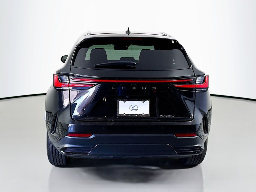 2025 Lexus NX 250 6