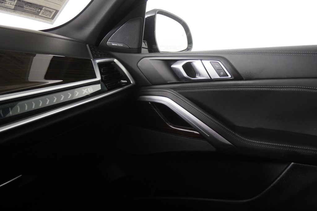 Thumbnail: 2025 BMW X6 - 24