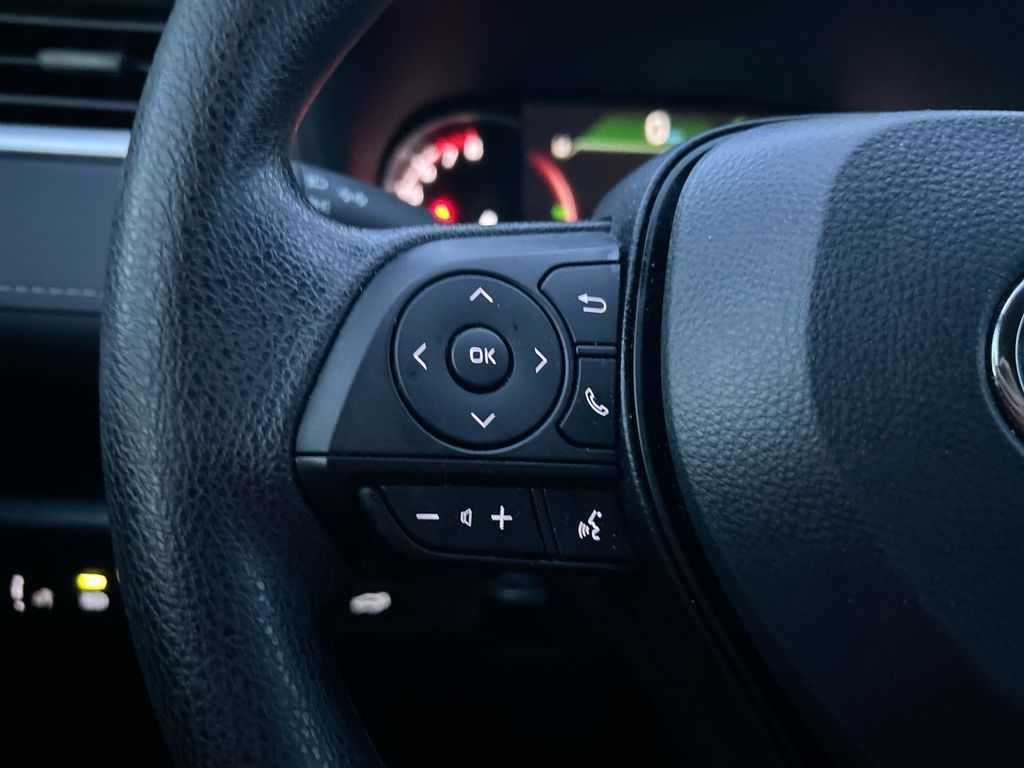 Thumbnail: 2025 Toyota RAV4 - 16