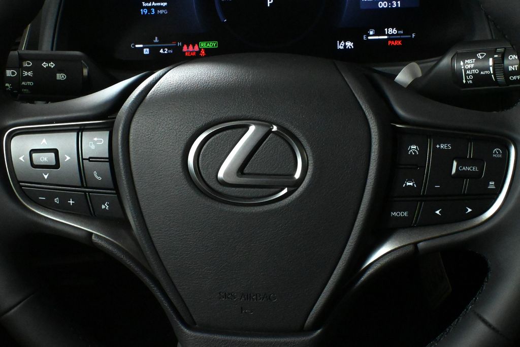 2025 Lexus UX 300h 20