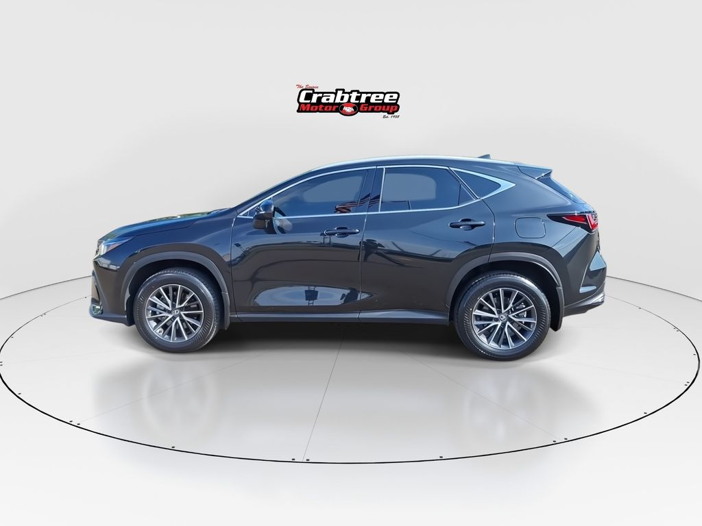 Used 2024 Lexus NX SUV