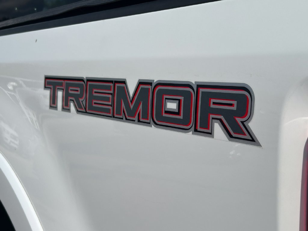 Used 2021 Ford F-250SD Truck