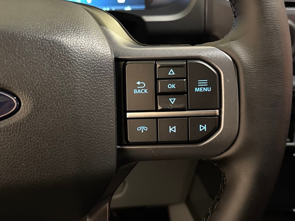2025 Ford F-150 Lightning photo 26