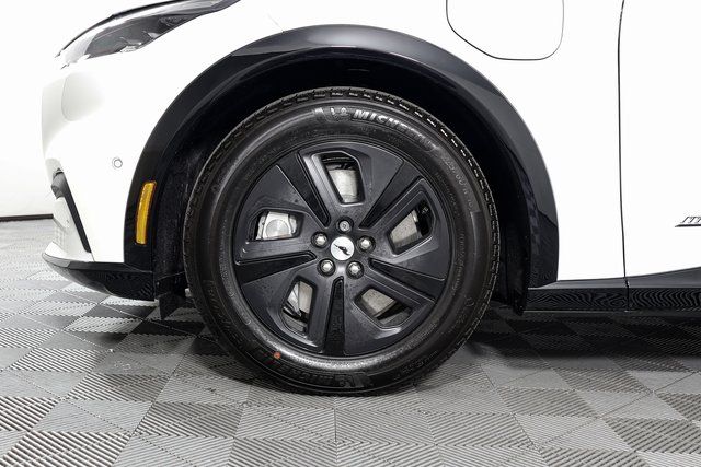 New 2023 White Ford California Route 1 image 8