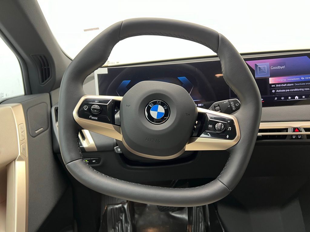 Thumbnail: 2026 BMW iX - 16