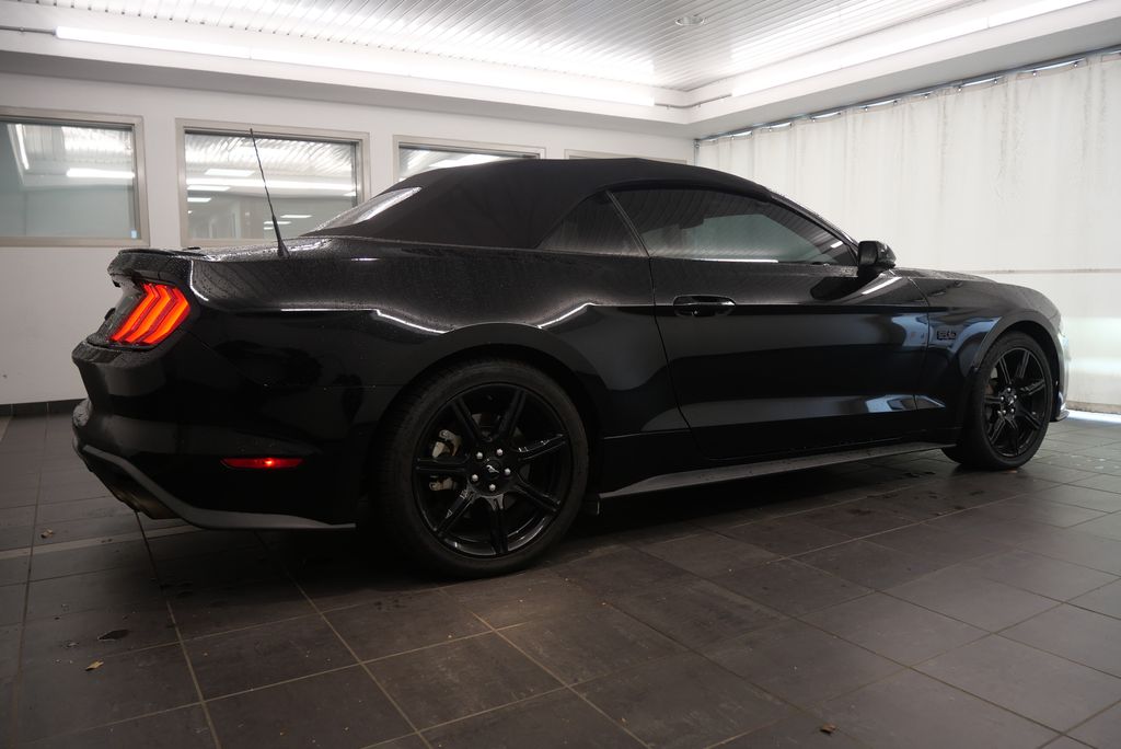 2019 Ford Mustang GT Premium 7