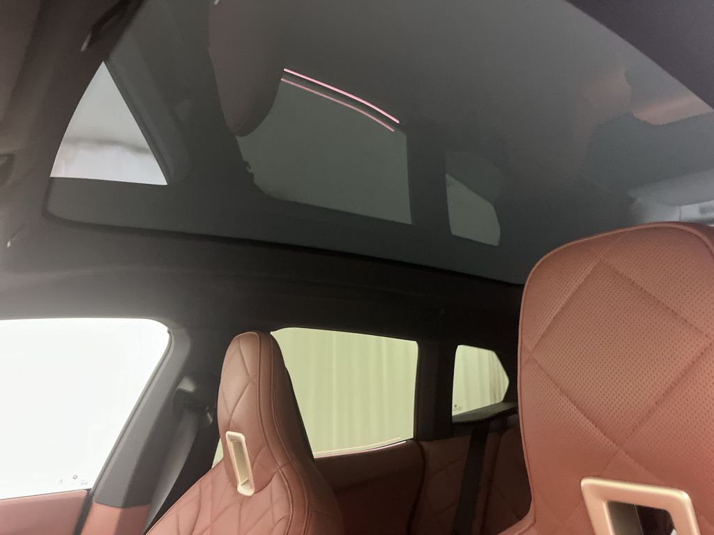 2022 Bmw iX photo 20