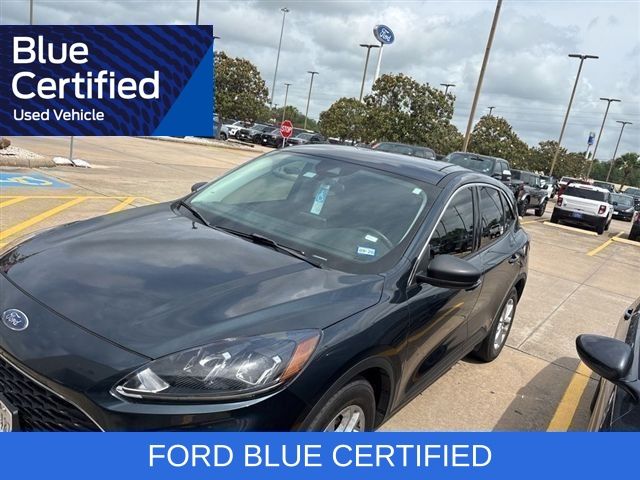 2022 Ford Escape SE Blue at Westside Lexus