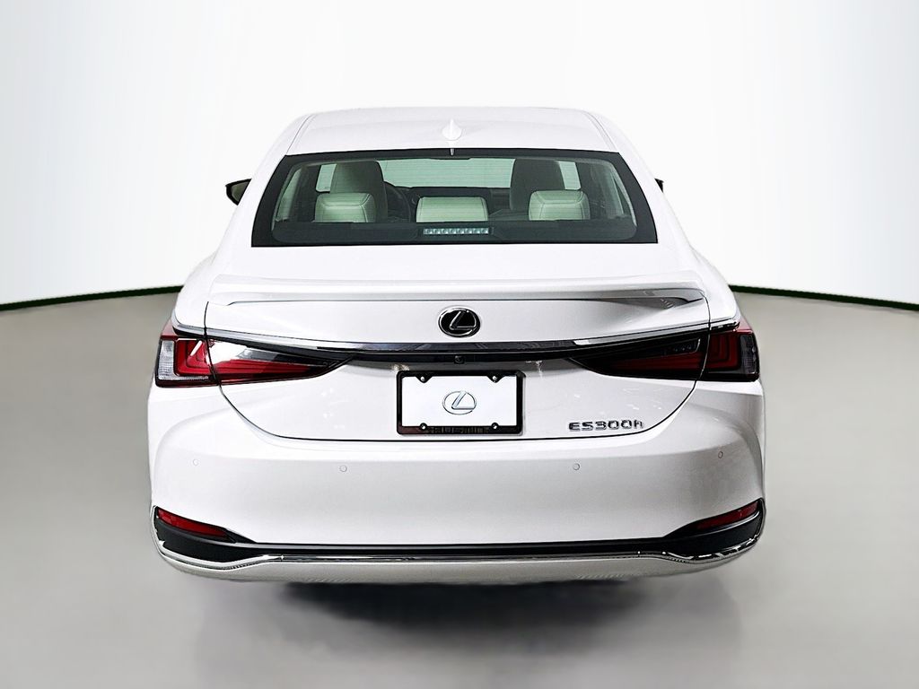 2025 Lexus ES  6