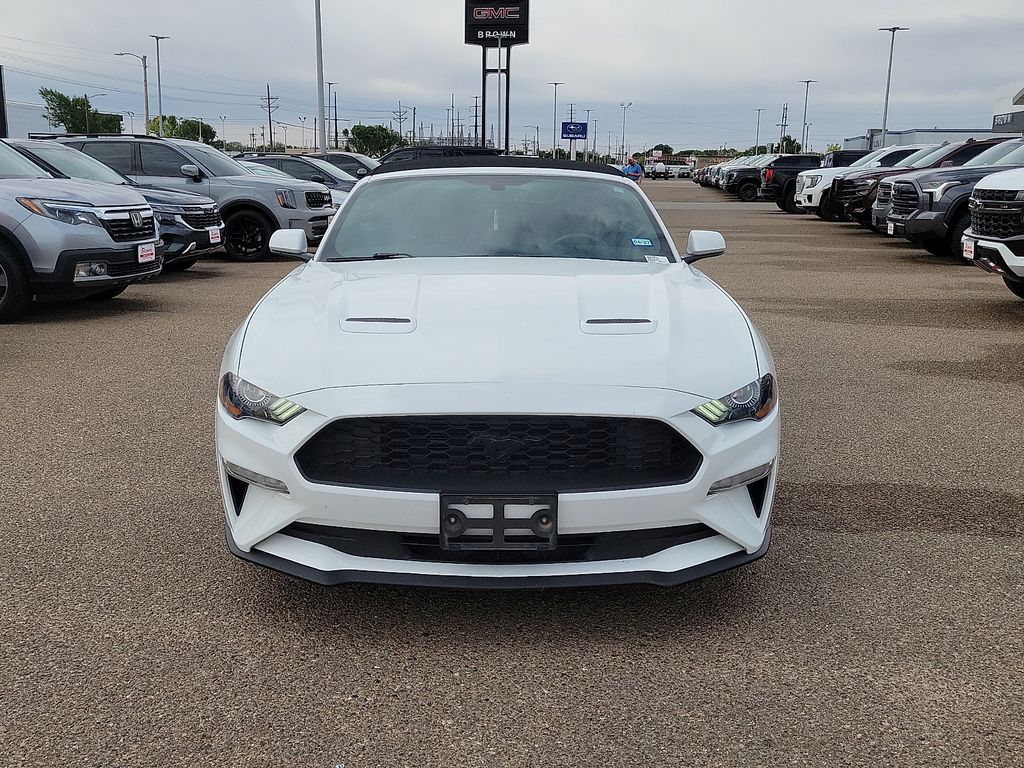 2019 Ford Mustang EcoBoost - 2