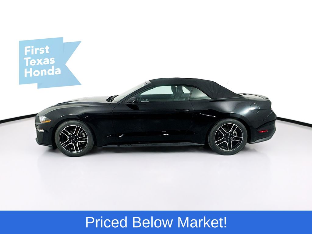 Used Car 2023 Ford Mustang  Ecoboost Premium For Sale Under $30,000 In Austin, Texas