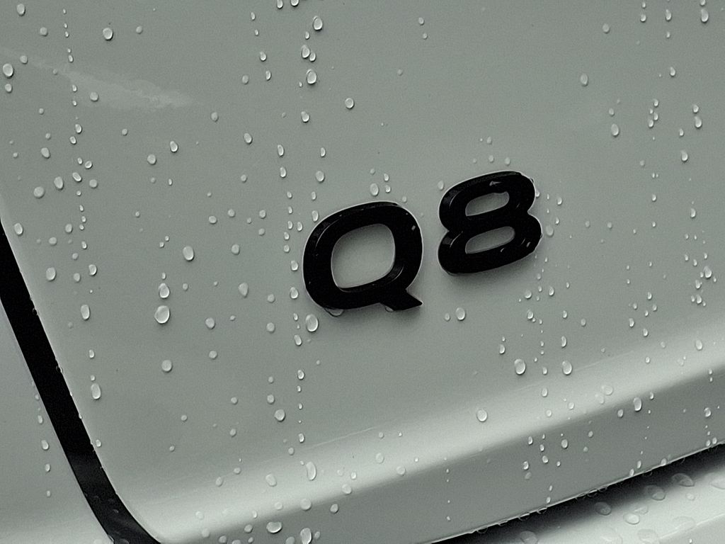 Thumbnail: 2025 Audi Q8 - 29