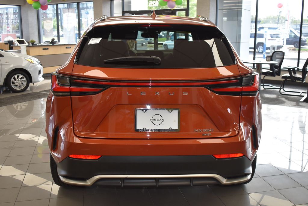 2024 Lexus NX  6