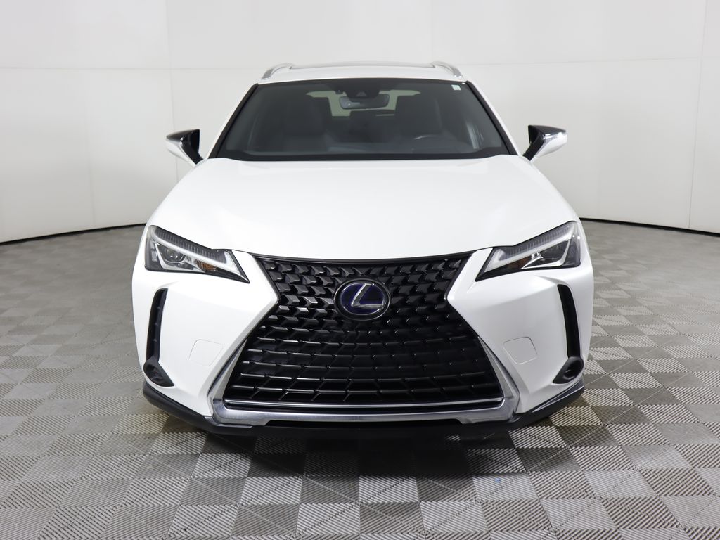 2019 Lexus UX 250h 2