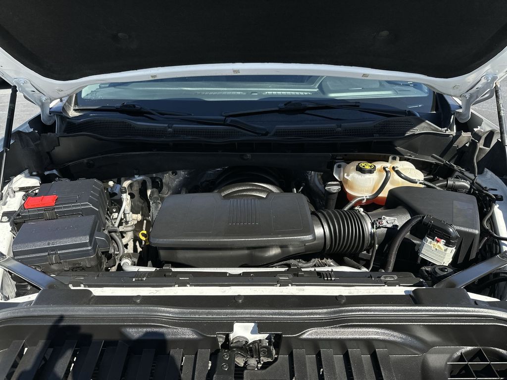 2024 Chevrolet Silverado 1500 LT Trail Boss White at Superior Honda