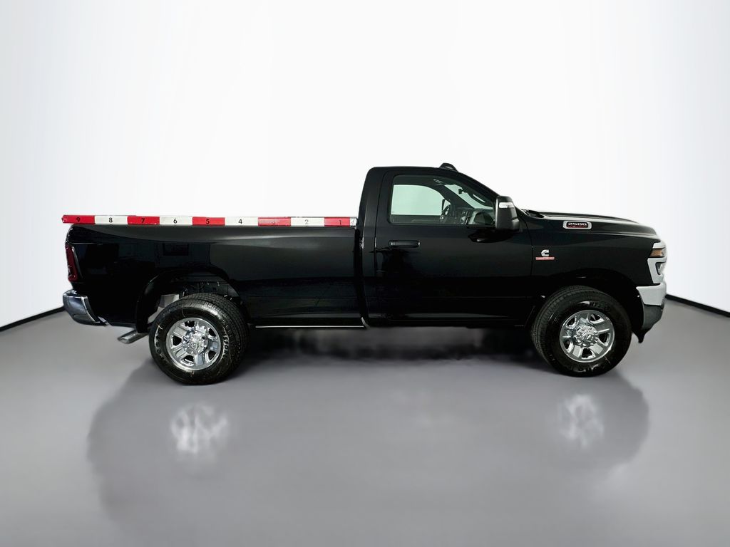 Ram25008