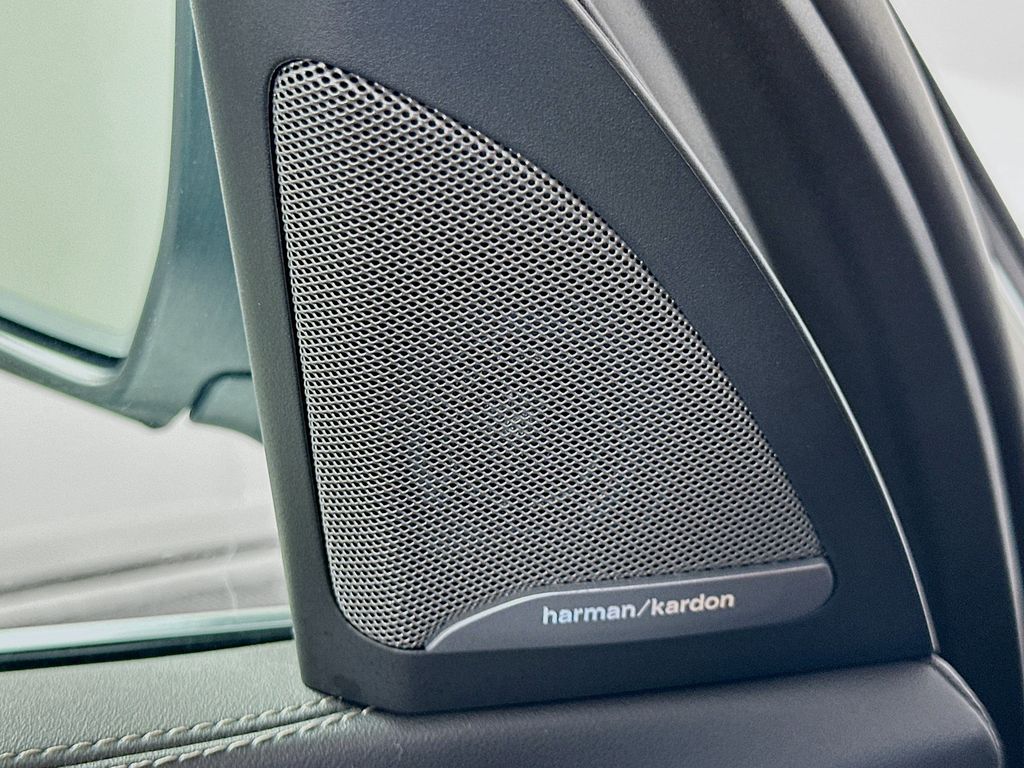 Thumbnail: 2025 BMW X7 - 19