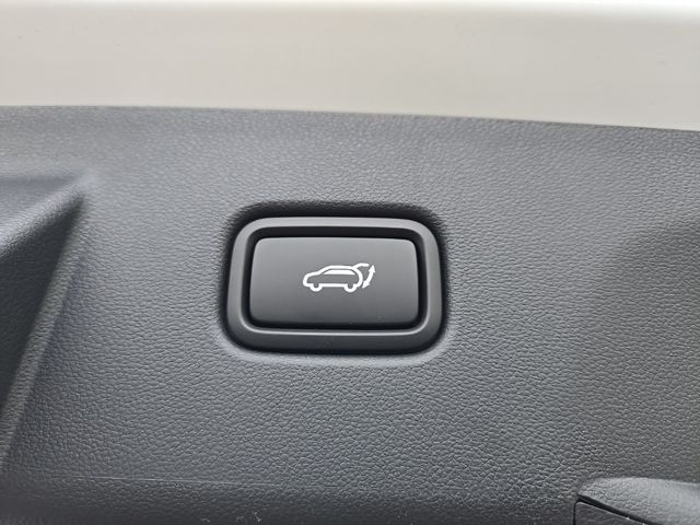 2025 Hyundai Tucson Limited 12