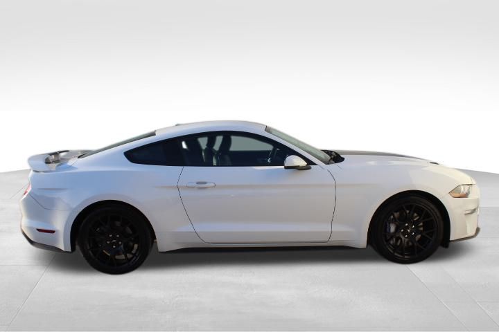 Used Car 2019 Ford Mustang  Ecoboost Premium For Sale Under $25,000 In Georgetown, Texas