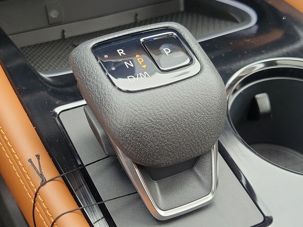 2025 Nissan Rogue Platinum 9