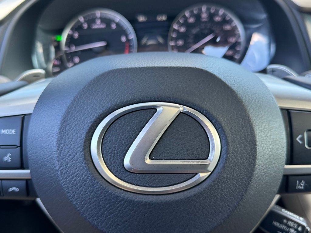 2020 Lexus RX 350 29