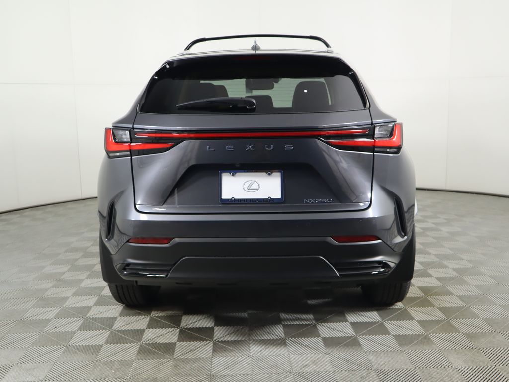 2025 Lexus NX 250 6