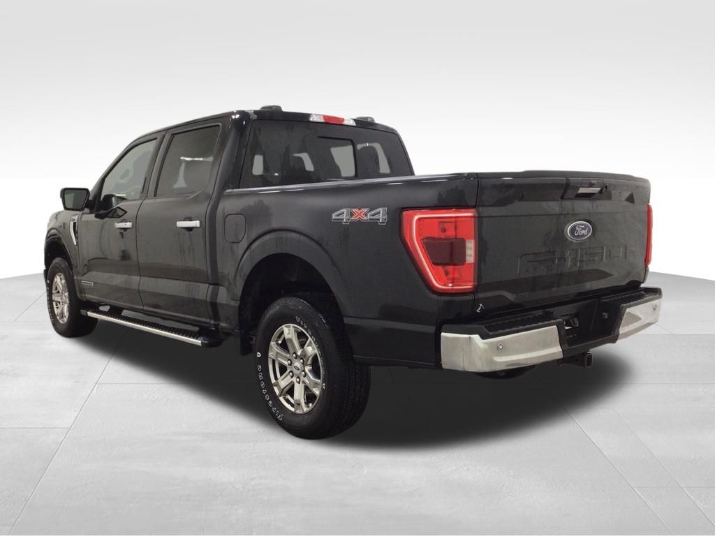 Used 2023 Ford F-150 Truck