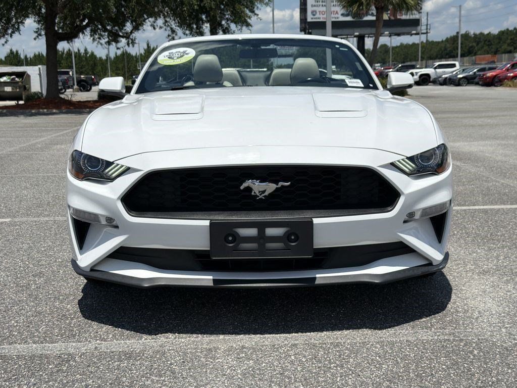Used 2019 Ford Mustang Convertible
