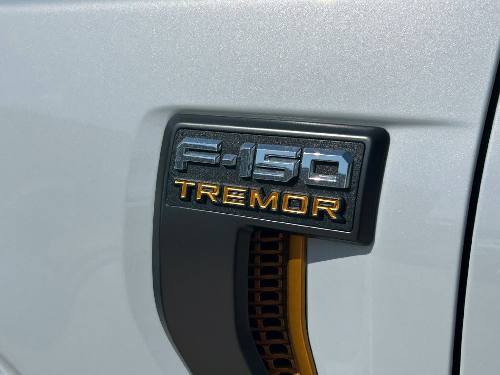 Used 2025 Ford F-150 Truck