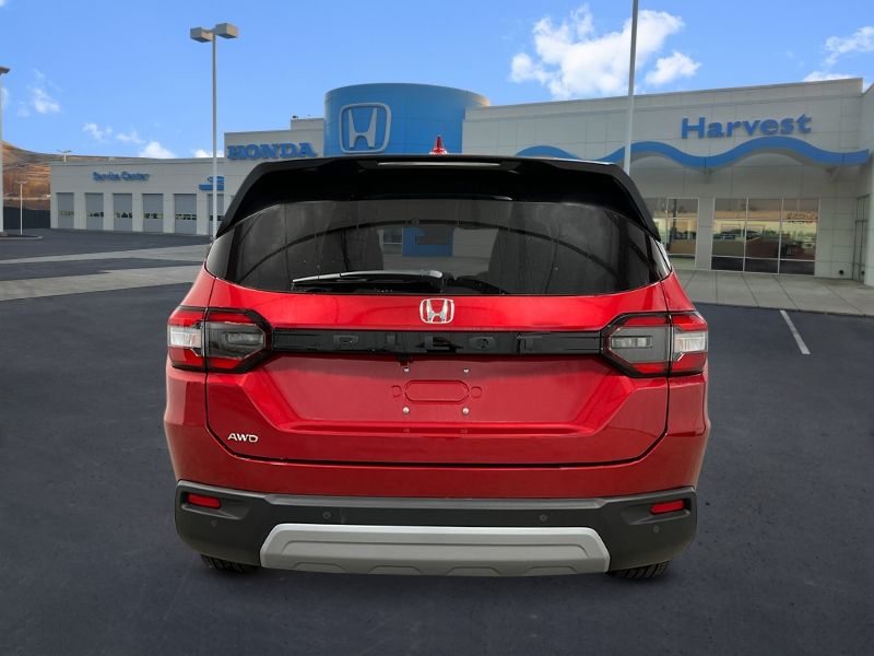 2025 Honda Pilot EX-L photo