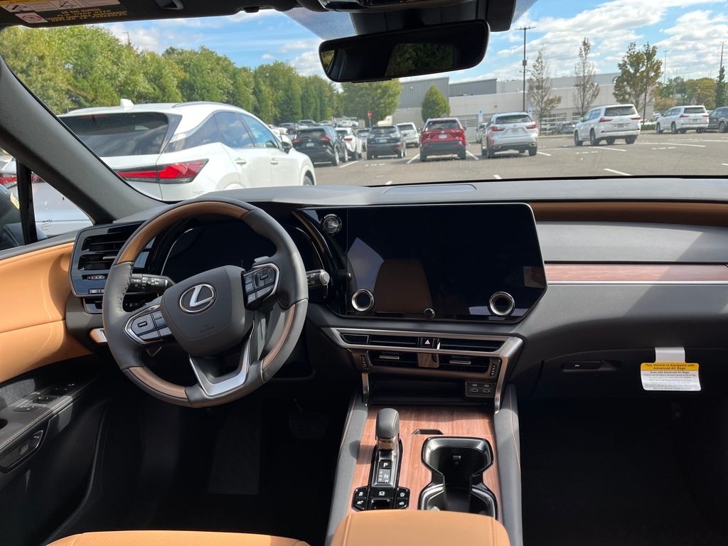 2025 Lexus RX 350 Premium AWD photo 9