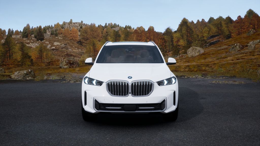 2025 BMW X5 xDrive50e 32