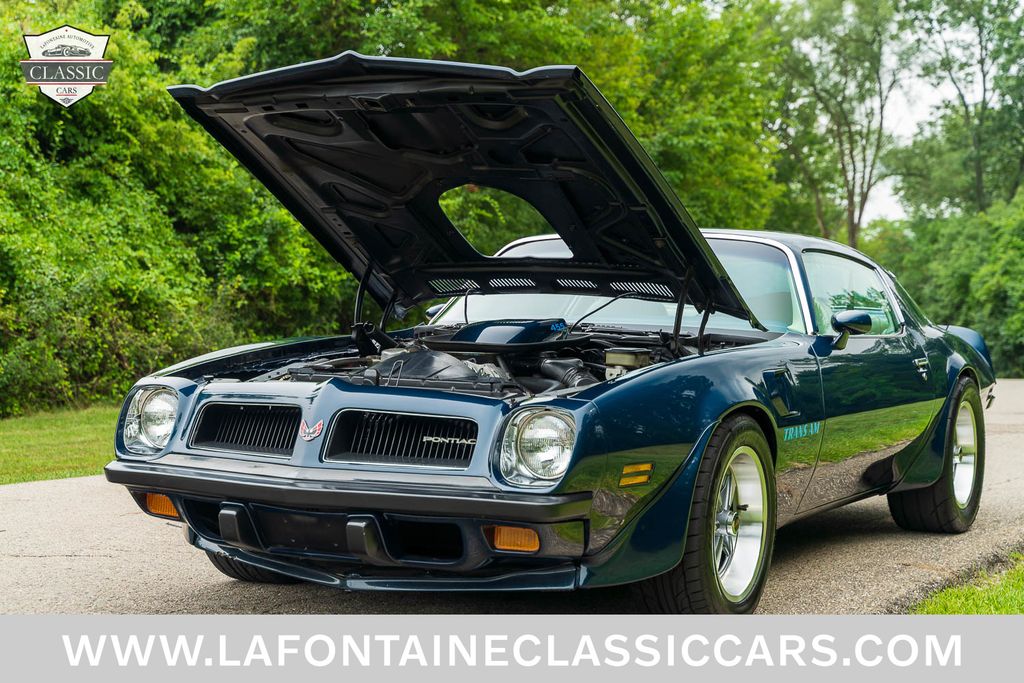 1974 Pontiac Trans Am 29
