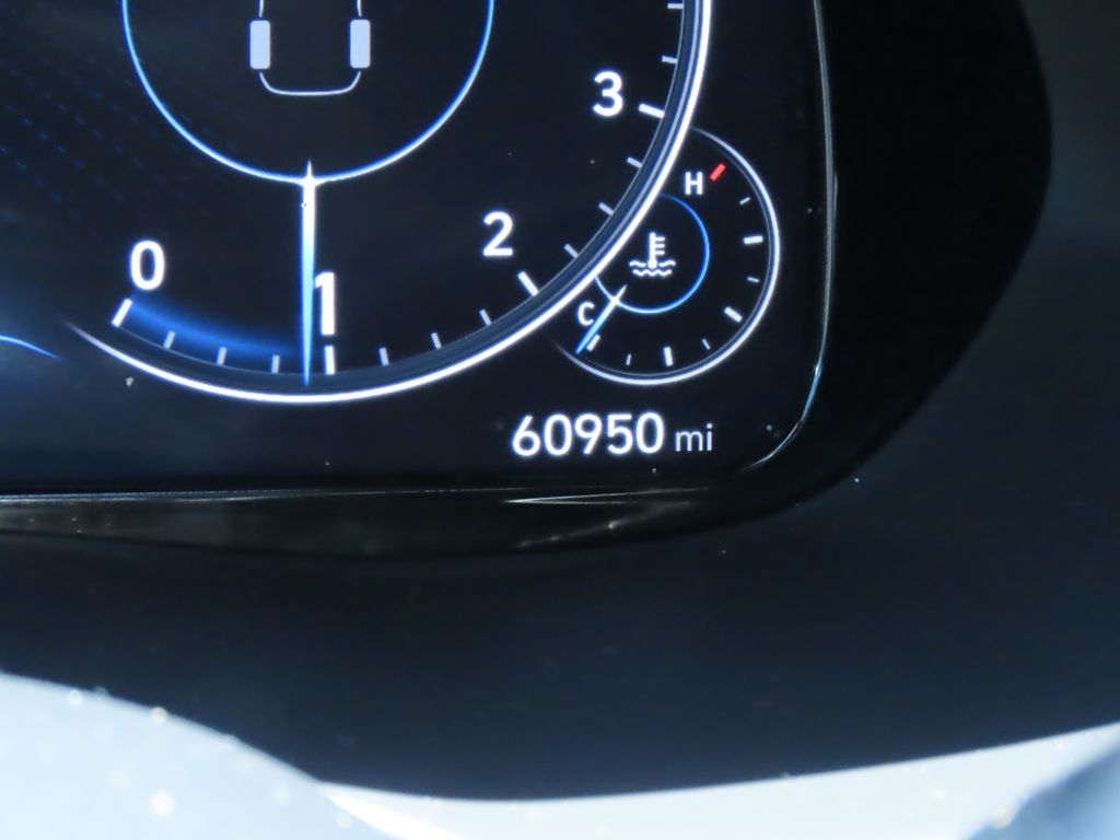 2021 Hyundai Palisade Calligraphy 20