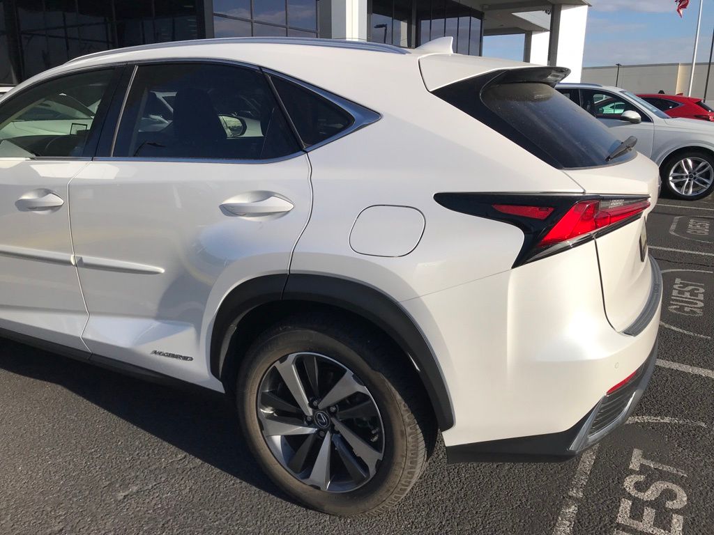 2020 Lexus NX Hybrid 300h 4