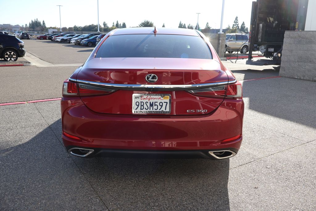 2019 Lexus ES 350 6