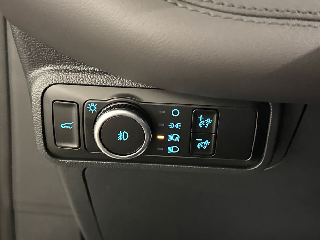 New 2026 White Ford Platinum image 33