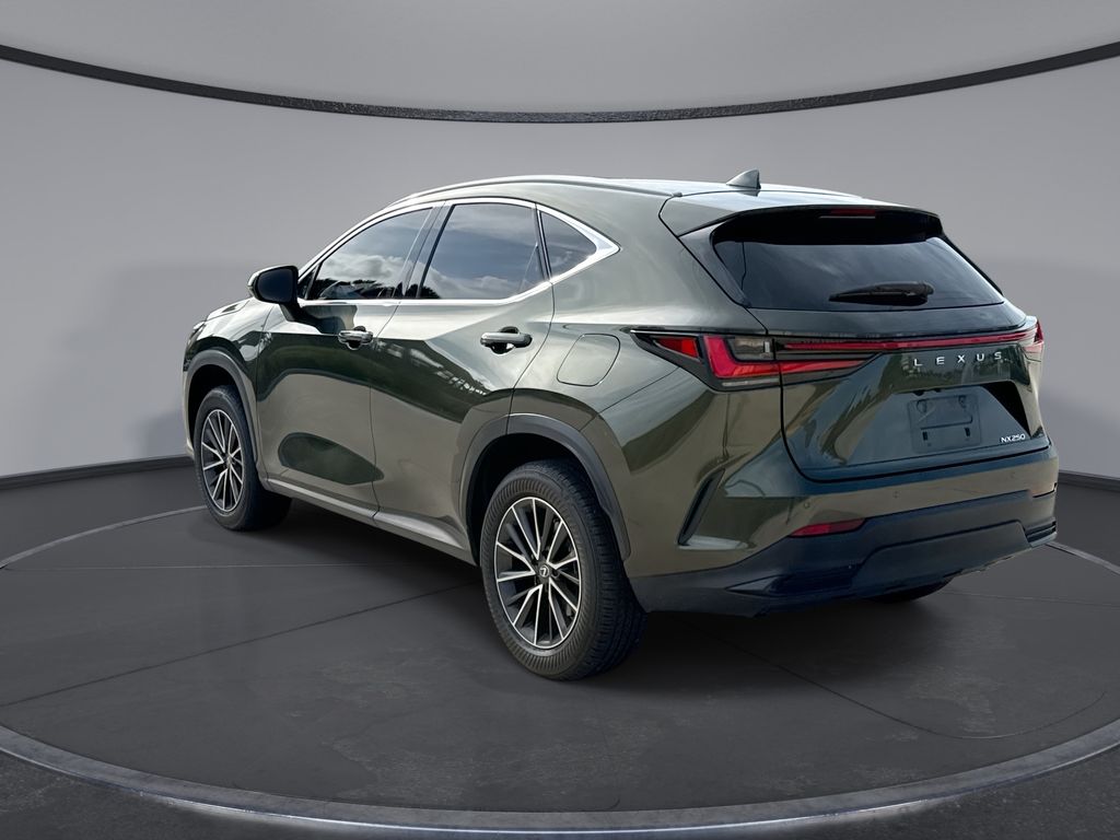Thumbnail: 2024 Lexus NX - 10