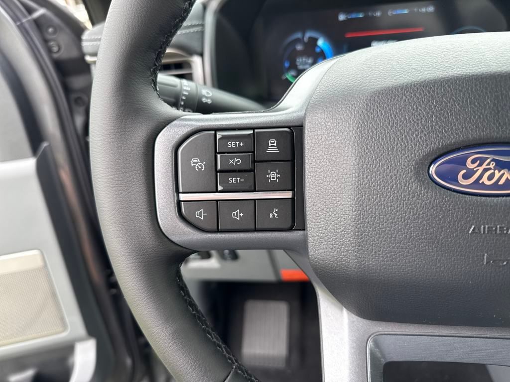 2025 Ford F-150 Lightning photo 14