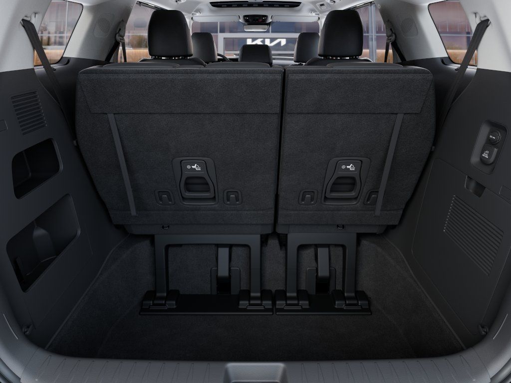 2026 Panthera Metal Kia Carnival SX FWD Van