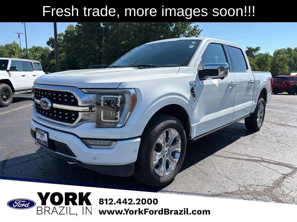 2023 Ford F-150 Platinum SuperCrew 4WD