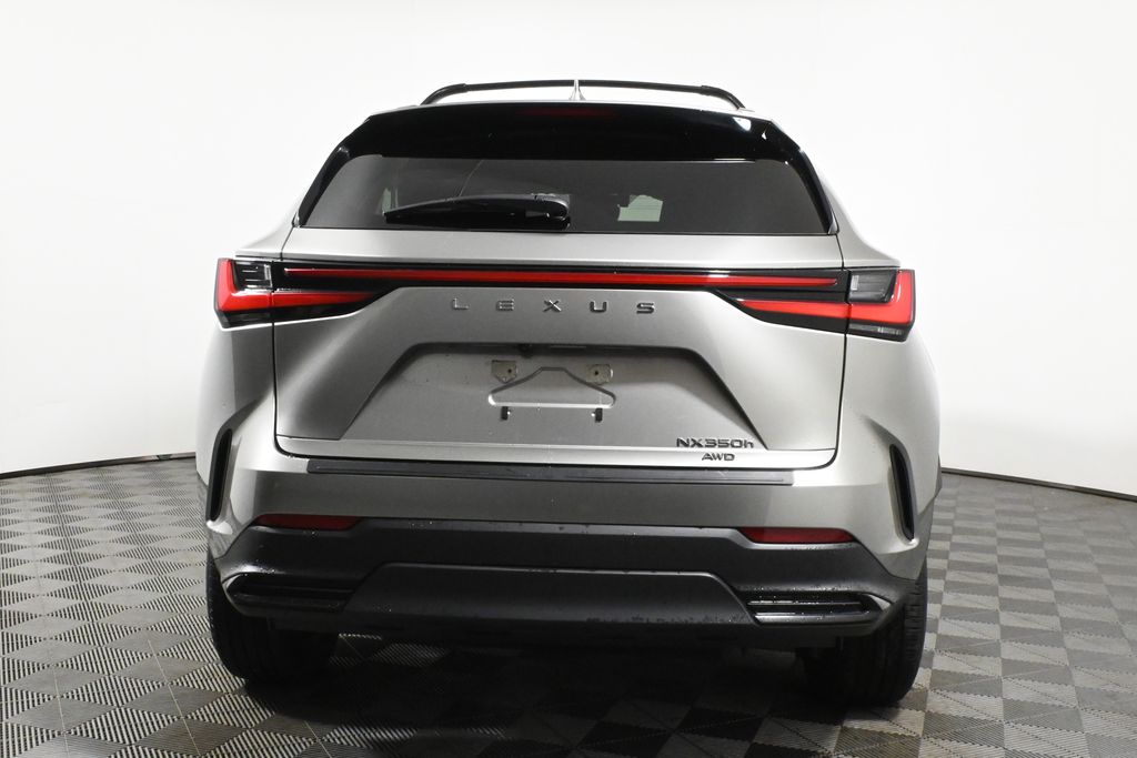 2023 Lexus NX  6