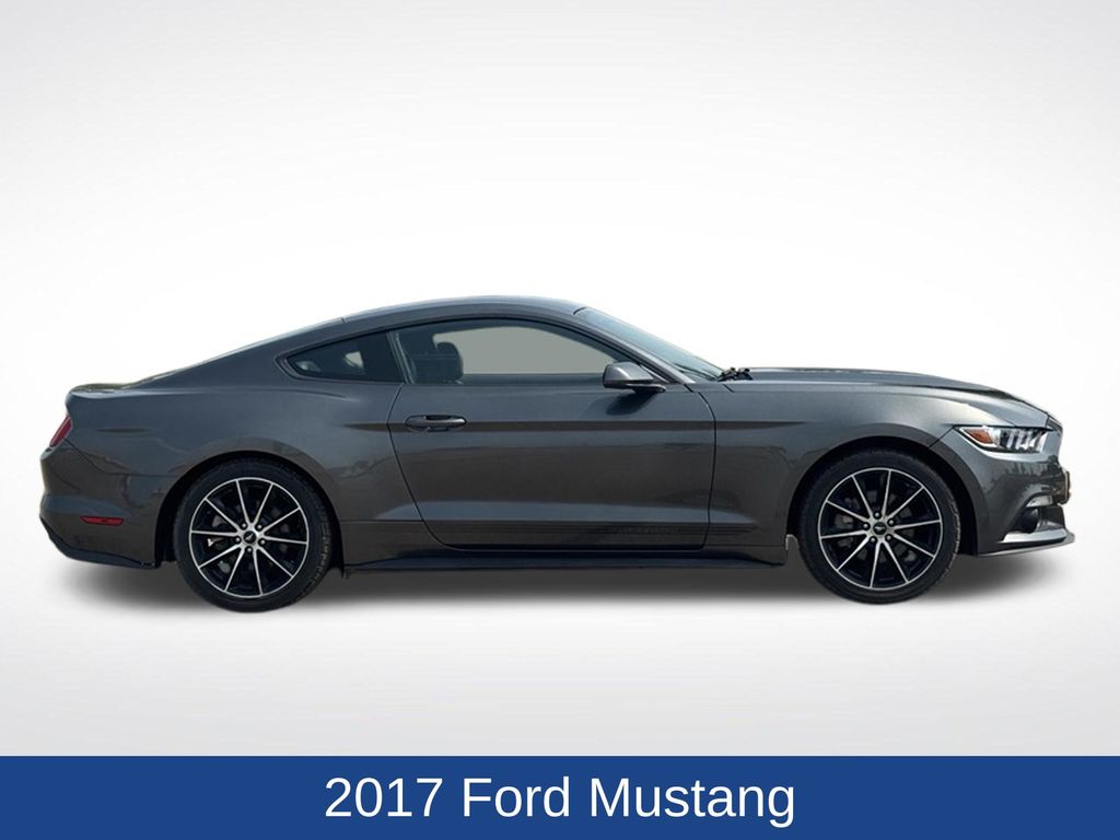 Used 2017 Ford Mustang EcoBoost Premium with VIN 1FA6P8TH9H5257961 for sale in Marshall, Minnesota