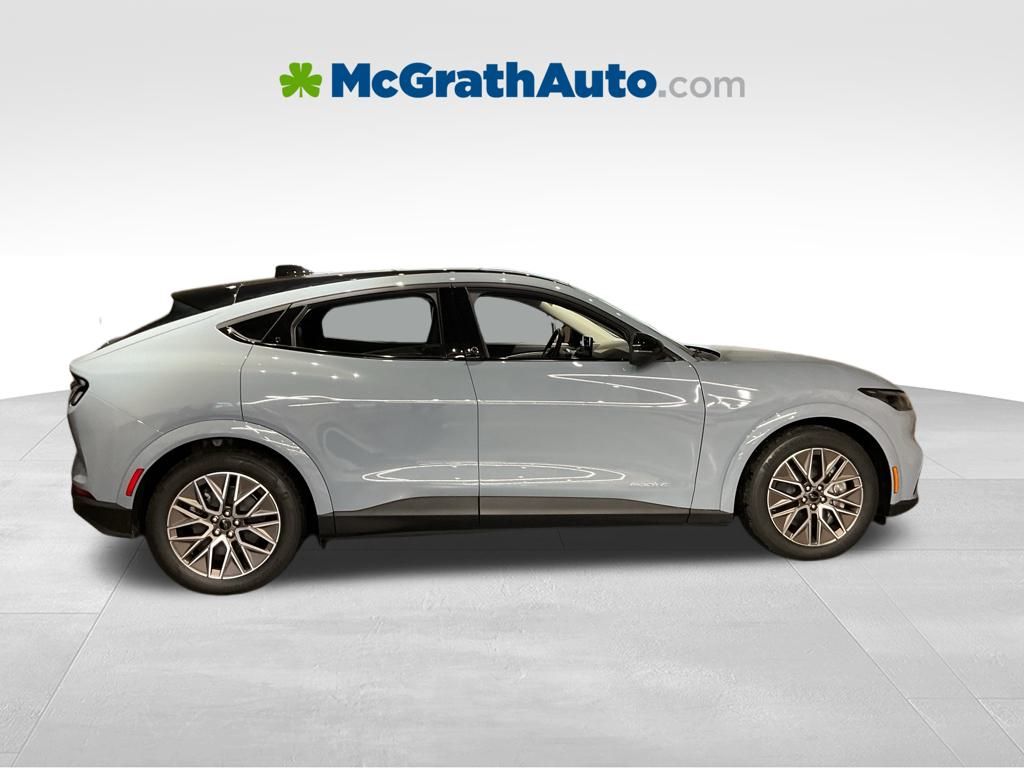 New 2025 Gray Ford Premium image 3