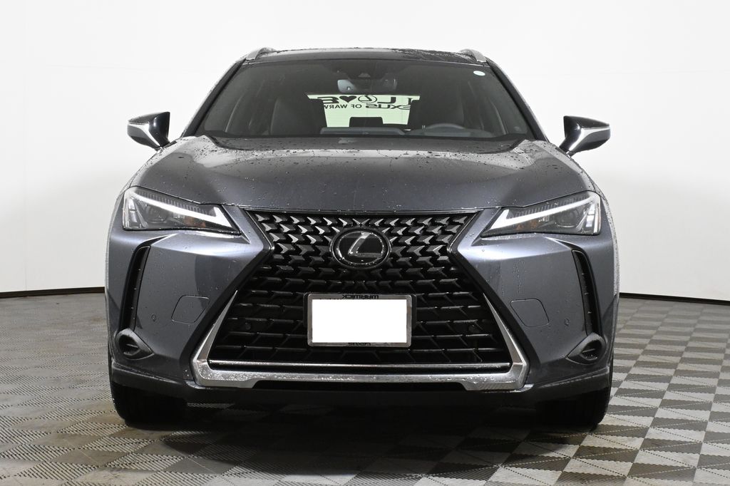 2024 Lexus UX 250h 10