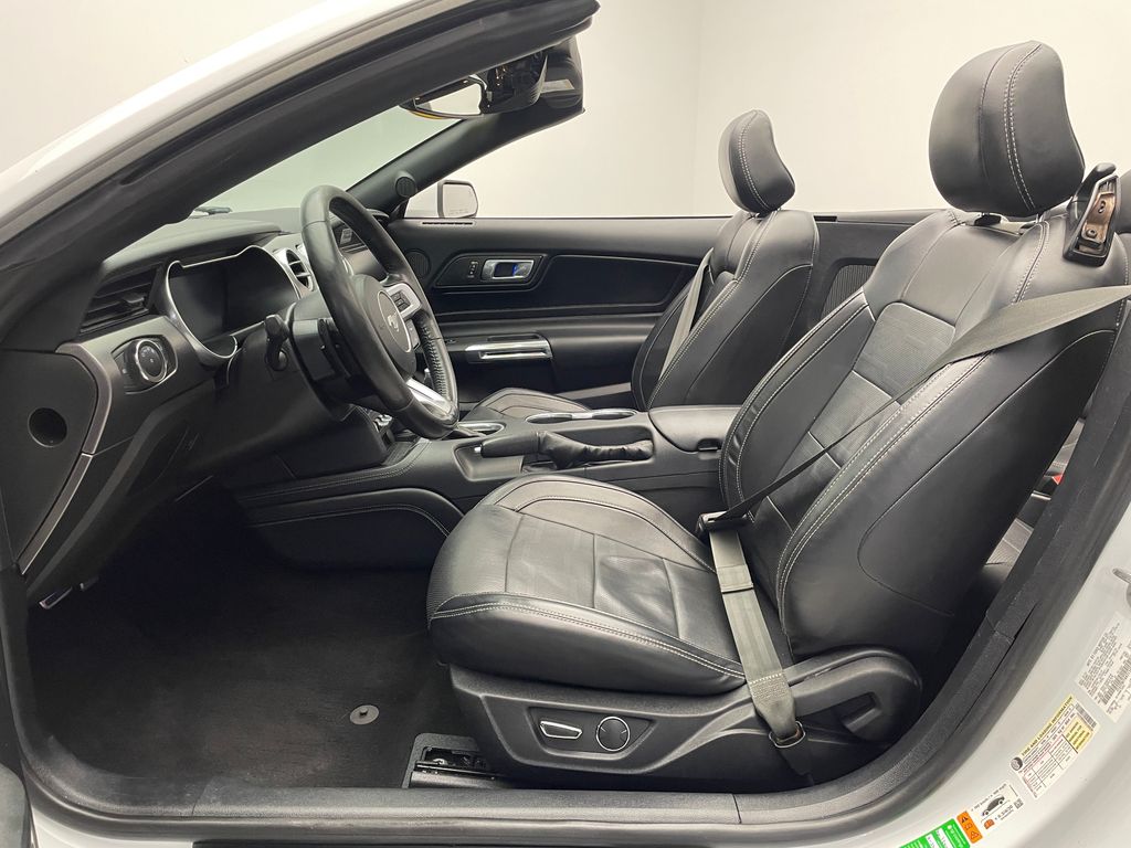 Thumbnail: 2019 Ford Mustang - 19